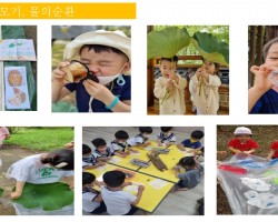 숲 월별 프로그램 8월