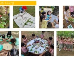 숲 월별 프로그램 6월