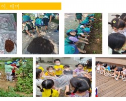 숲 월별 프로그램 7월