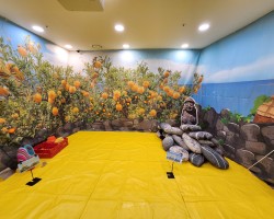 오감 행사-제주도체험